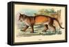 Puma-Sir William Jardine-Framed Stretched Canvas