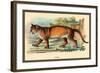 Puma-Sir William Jardine-Framed Art Print