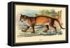 Puma-Sir William Jardine-Framed Stretched Canvas