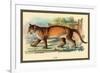 Puma-Sir William Jardine-Framed Art Print