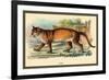 Puma-Sir William Jardine-Framed Art Print