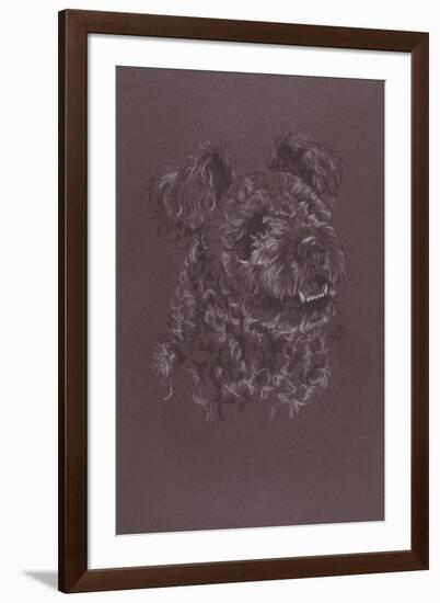 Pumi-Barbara Keith-Framed Giclee Print