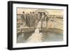 Pumping Plant, Deming, New Mexico-null-Framed Art Print