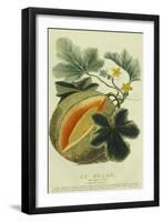 Pumpkin, 1787-null-Framed Giclee Print