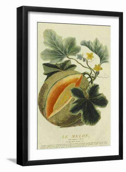 Pumpkin, 1787-null-Framed Giclee Print