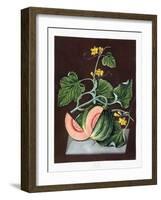 Pumpkin, 1812-George Brookshaw-Framed Giclee Print