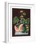 Pumpkin, 1812-George Brookshaw-Framed Giclee Print