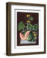 Pumpkin, 1812-George Brookshaw-Framed Giclee Print