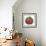 Pumpkin 1-Erin Clark-Framed Giclee Print displayed on a wall