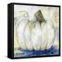 Pumpkin 3-Vicki McArdle Art-Framed Stretched Canvas