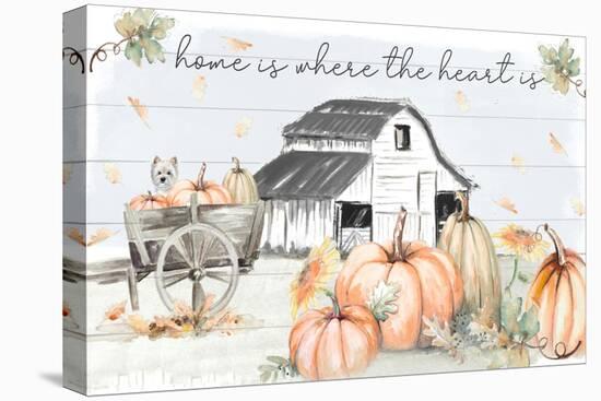 Pumpkin Barn-Patricia Pinto-Stretched Canvas