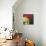 Pumpkin Blossom, 2002-Pedro Diego Alvarado-Mounted Giclee Print displayed on a wall