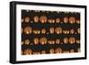 Pumpkin Booty Pattern-Lauren Ramer-Framed Giclee Print