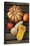 Pumpkin, Butternut- and Hokkaido Squashes on Wooden Background-Fotos mit Geschmack-Stretched Canvas