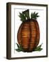Pumpkin Coloured-Delyth Angharad-Framed Giclee Print