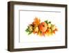 Pumpkin Decoration-Snehitdesign-Framed Photographic Print