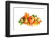 Pumpkin Decoration-Snehitdesign-Framed Photographic Print