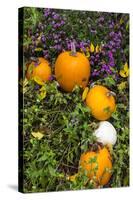 Pumpkin Display at the Historic Story Inn, Autumn, Story, Indiana, USA-Chuck Haney-Stretched Canvas