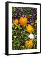 Pumpkin Display at the Historic Story Inn, Autumn, Story, Indiana, USA-Chuck Haney-Framed Photographic Print