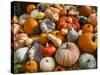 Pumpkin Display for Fall Festival-Richard T. Nowitz-Stretched Canvas