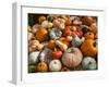 Pumpkin Display for Fall Festival-Richard T. Nowitz-Framed Premium Photographic Print