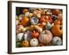 Pumpkin Display for Fall Festival-Richard T. Nowitz-Framed Photographic Print