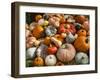 Pumpkin Display for Fall Festival-Richard T. Nowitz-Framed Photographic Print