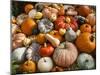 Pumpkin Display for Fall Festival-Richard T. Nowitz-Mounted Photographic Print