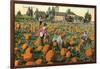 Pumpkin Field-null-Framed Art Print