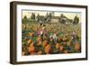 Pumpkin Field-null-Framed Premium Giclee Print