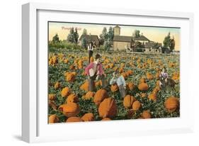 Pumpkin Field-null-Framed Art Print