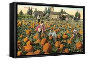 Pumpkin Field-null-Framed Stretched Canvas