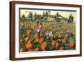 Brown Frame