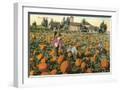 White Frame