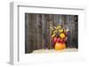 Pumpkin Flower Arrangement on Hay-krisrobin-Framed Photographic Print