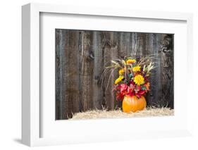 Pumpkin Flower Arrangement on Hay-krisrobin-Framed Photographic Print