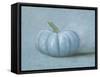 Pumpkin I No Leaves-Wellington Studio-Framed Stretched Canvas