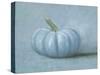 Pumpkin I No Leaves-Wellington Studio-Stretched Canvas