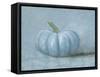 Pumpkin I-Wellington Studio-Framed Stretched Canvas