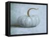 Pumpkin II No Leaves-Wellington Studio-Framed Stretched Canvas