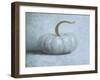 Pumpkin II No Leaves-Wellington Studio-Framed Art Print