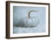 Pumpkin II-Wellington Studio-Framed Art Print