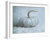 Pumpkin II-Wellington Studio-Framed Art Print