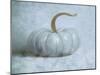 Pumpkin II-Wellington Studio-Mounted Art Print