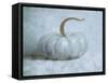 Pumpkin II-Wellington Studio-Framed Stretched Canvas