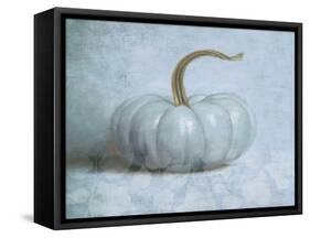 Pumpkin II-Wellington Studio-Framed Stretched Canvas