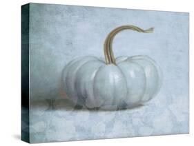 Pumpkin II-Wellington Studio-Stretched Canvas