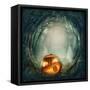 Pumpkin In Dark Forest-egal-Framed Stretched Canvas