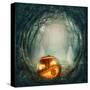 Pumpkin In Dark Forest-egal-Stretched Canvas