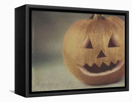 Pumpkin Man-Jennifer Kennard-Framed Stretched Canvas